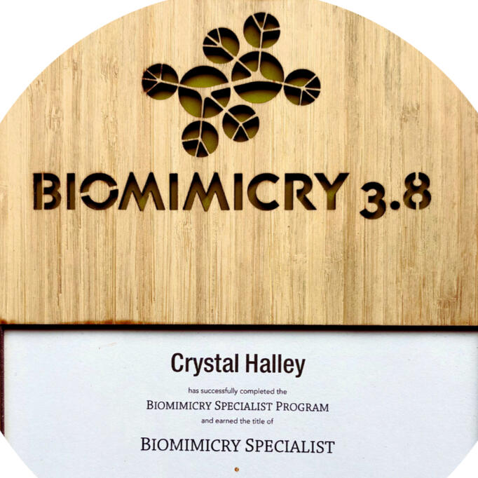 Biomimicry Specialist